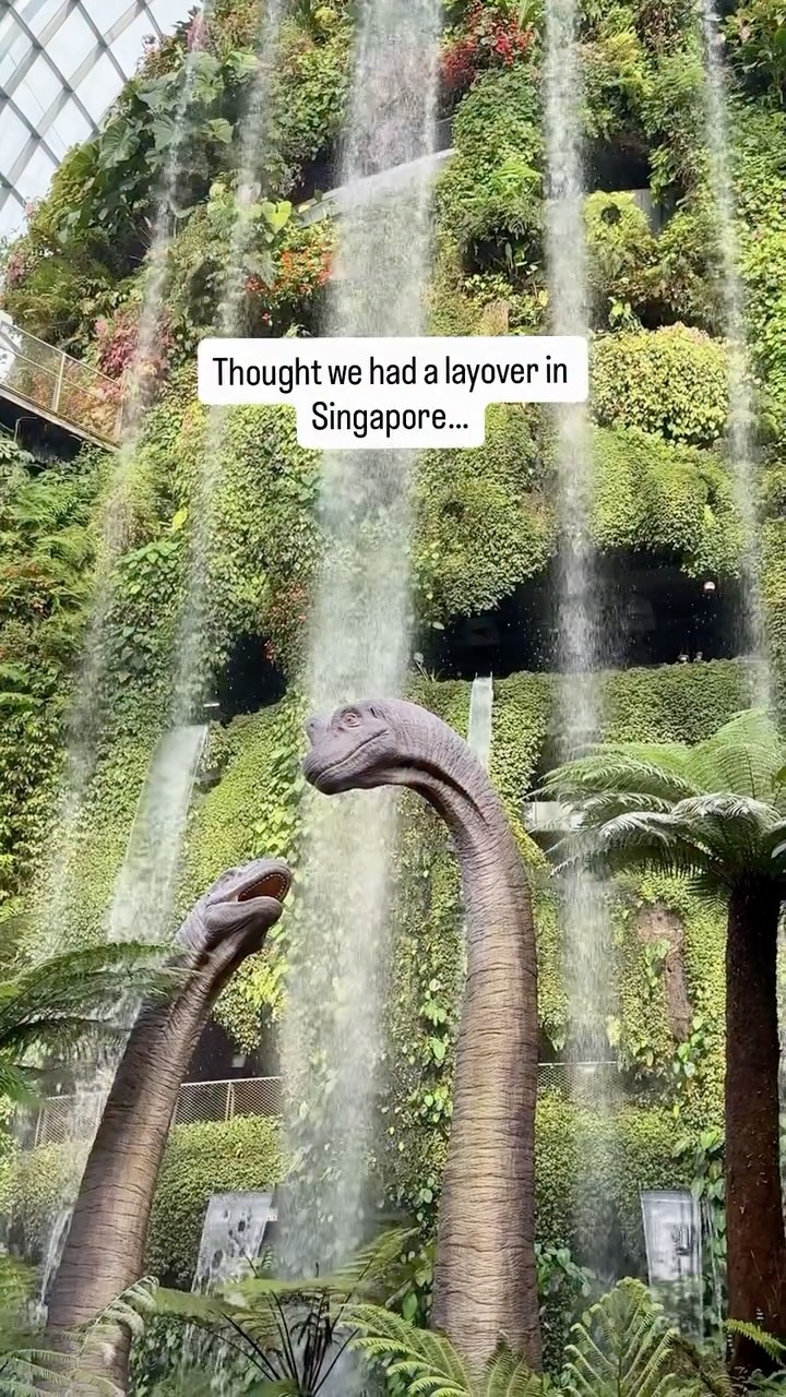 Married Teachers | Adventure Travel, Gardens by the Bay