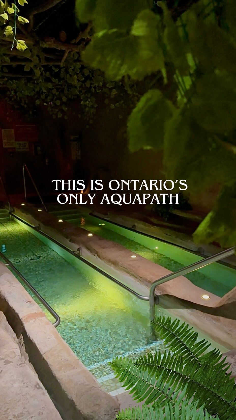 Katherine Palumbo, Living Water Resort & Spa