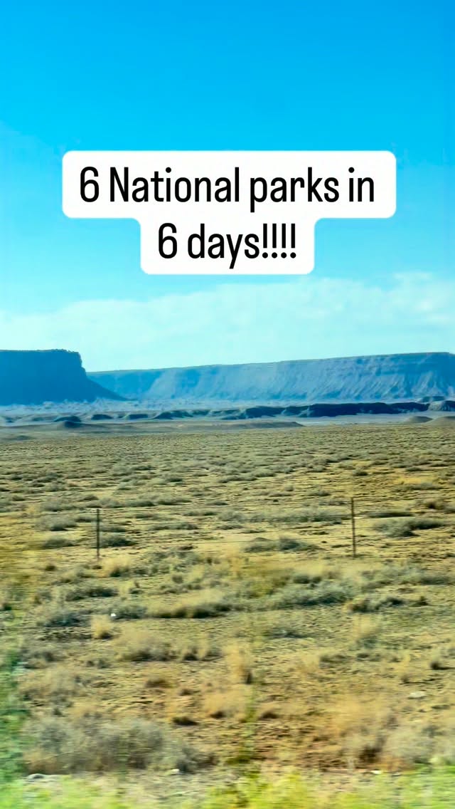 Socalfunfamily, Saguaro National Park