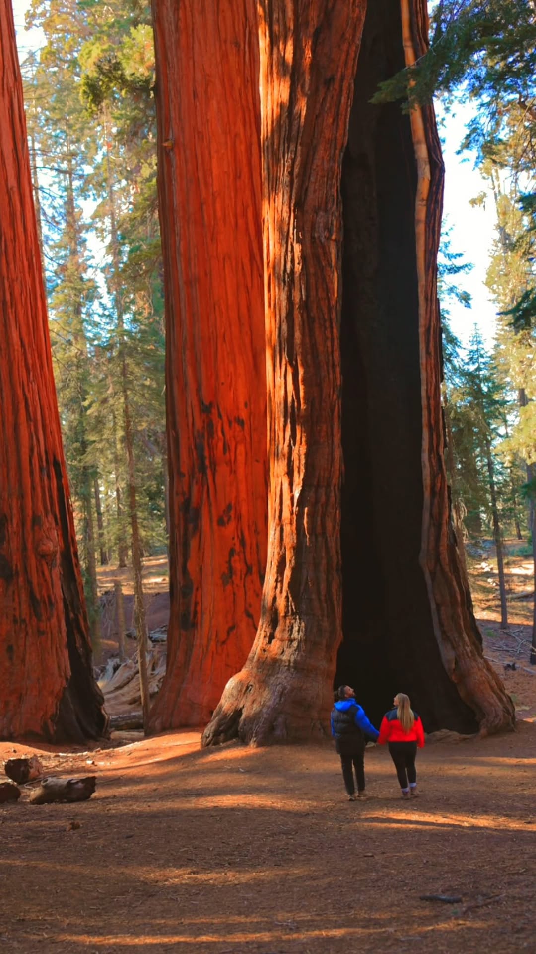 George & Crissa Prieto | Adventure Travel Couple, Yosemite National Park