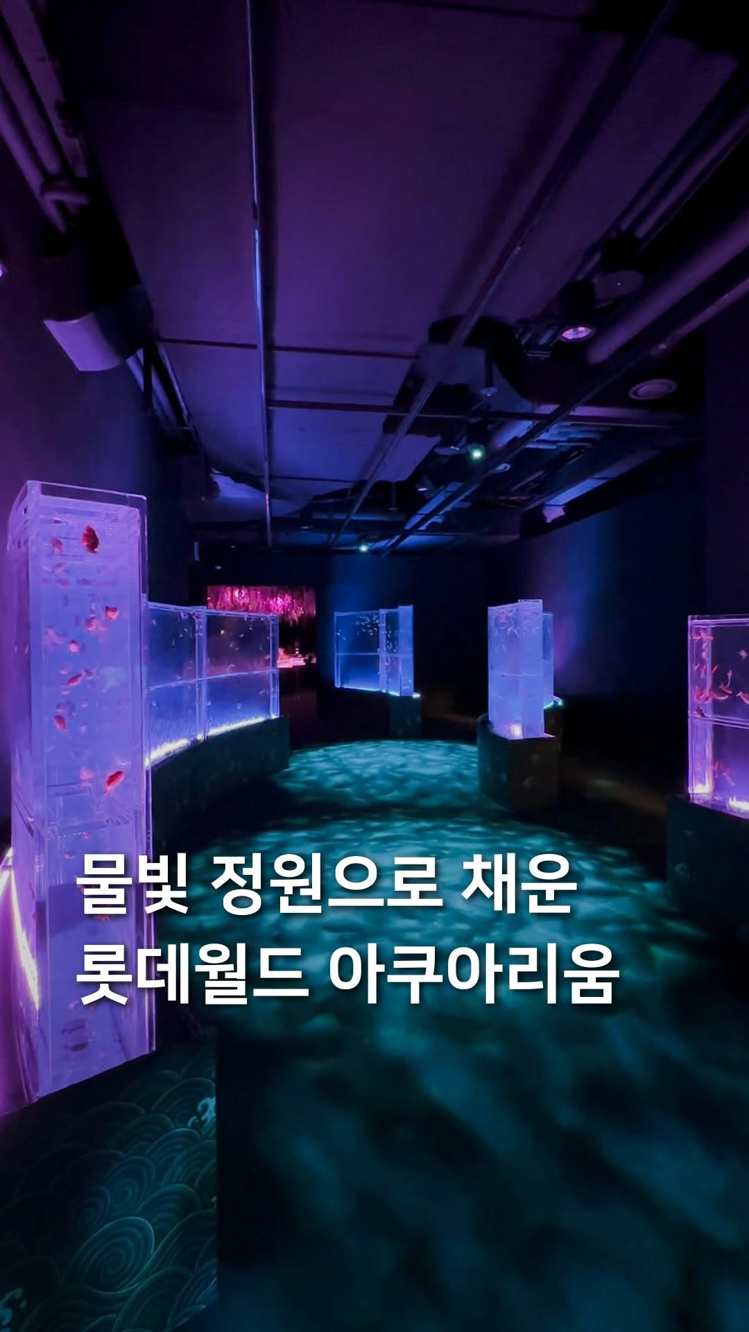 삼도리 아카이브ㅣ공간기록장, LOTTE WORLD AQUARIUM