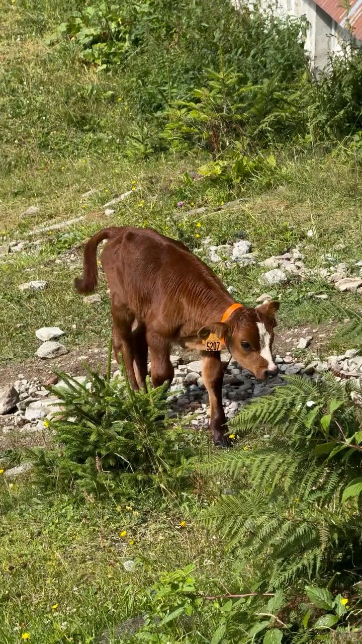 Emma Talpone, Parc national du Mercantour