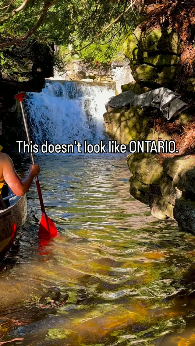 Ontario Nature Escapes | Chase, Rockwood Conservation Area