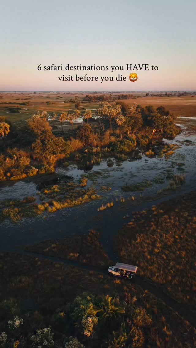 Dr James Bloor-Griffiths, Maun