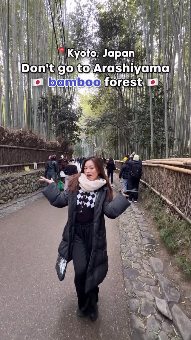 Tours in Japan - TOMOGO!, Arashiyama Bamboo Forest