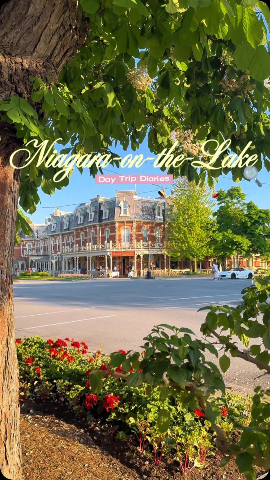 Tilly’s Travelling Table 🌎, Niagara-on-the-Lake