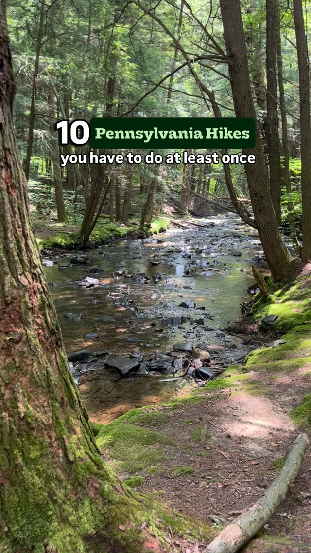 Kimberly Debes, Bushkill Falls