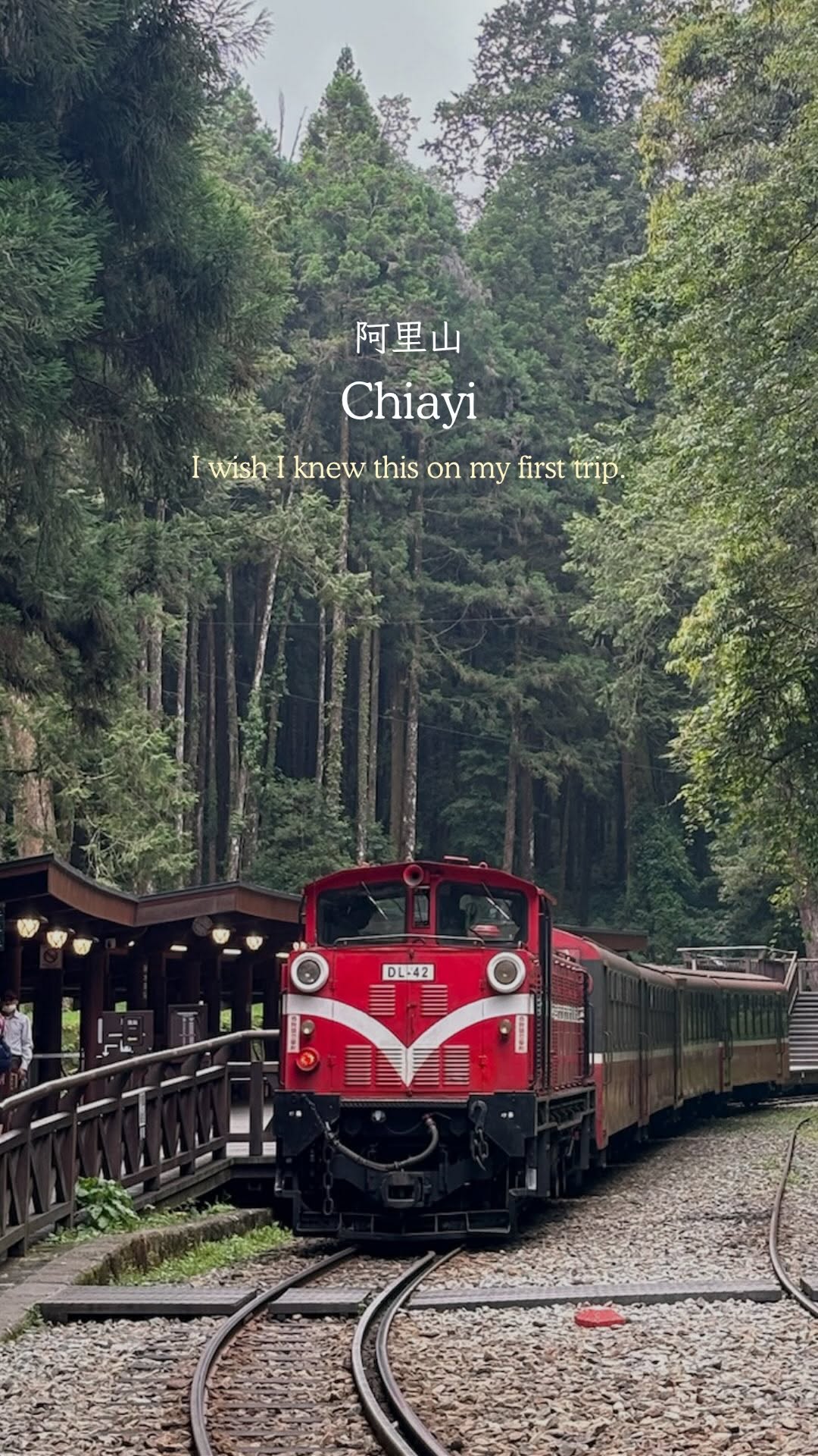 🅗🅘🅗🅘 | Travel & Lifestyle, Alishan National Forest Recreation Area