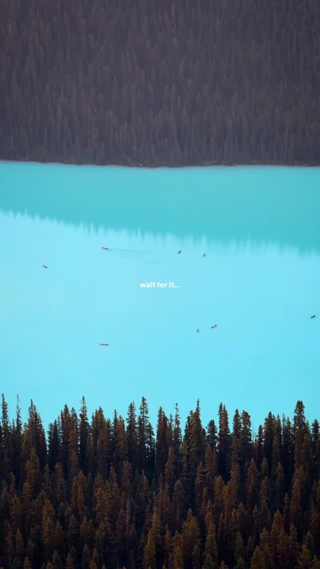 Angela Liguori, Lake Louise