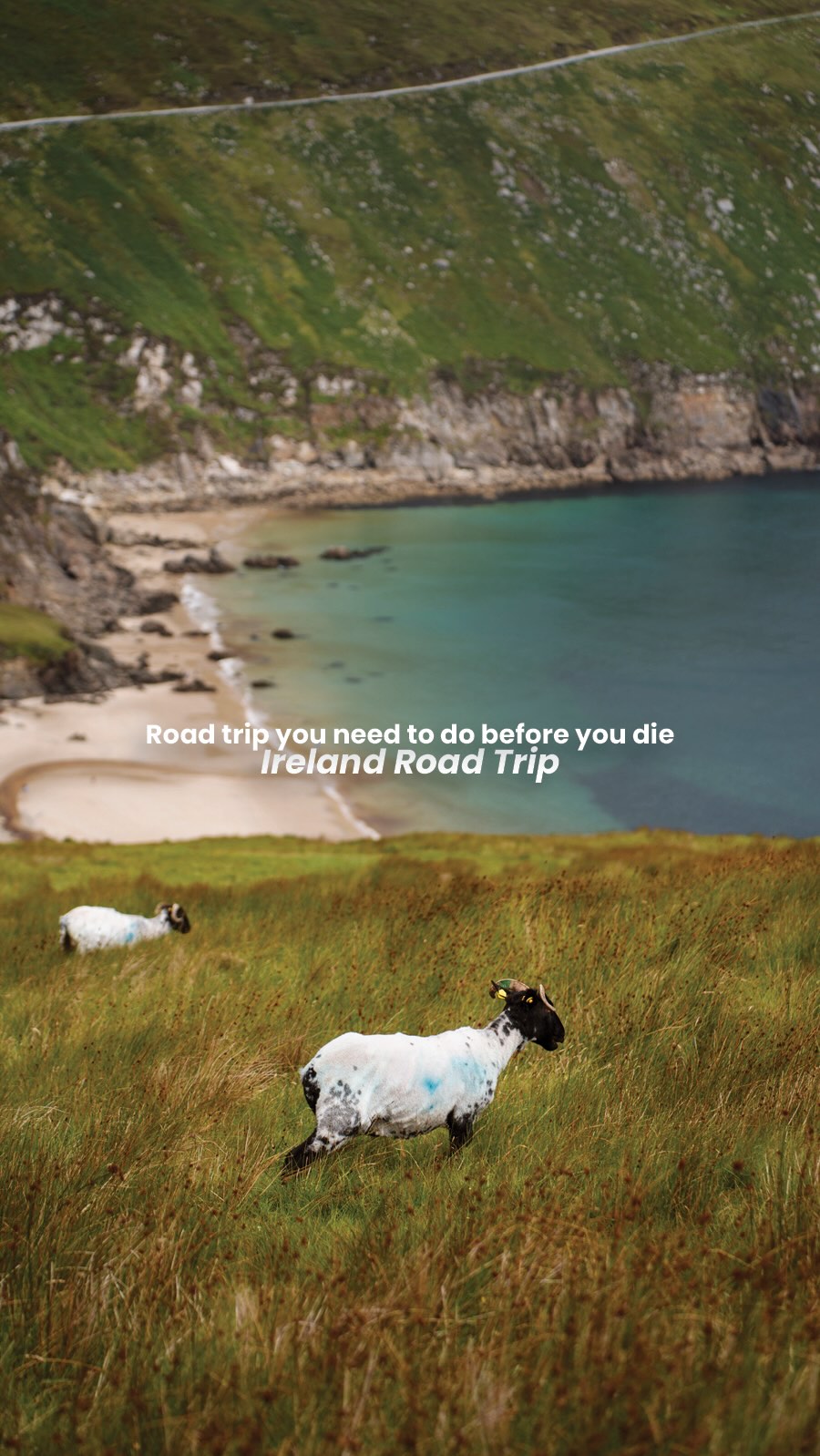 Alia & Shawn ✈︎ Detailed Travel Guides & Itineraries, Cobh