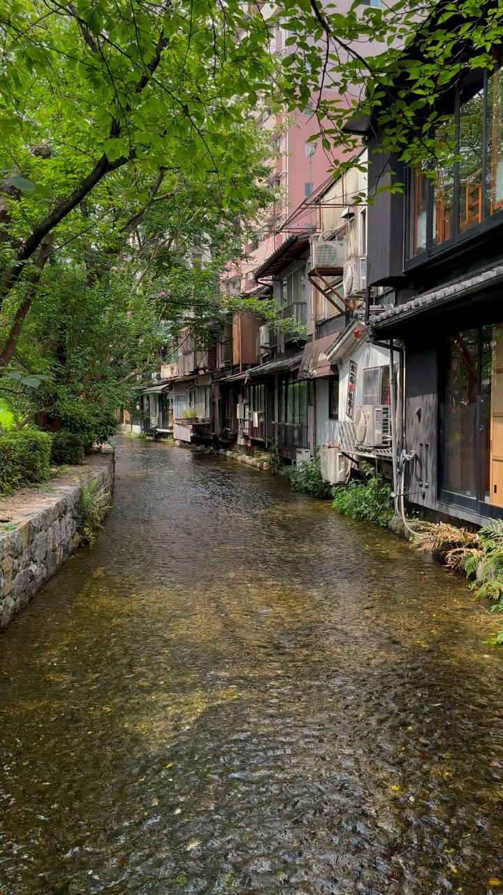まっちゃ, Kamo River