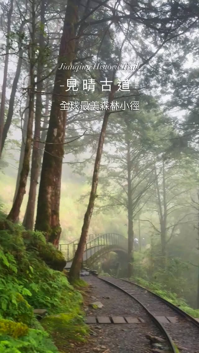 risa_artpic, Taipingshan National Forest Recreation Area