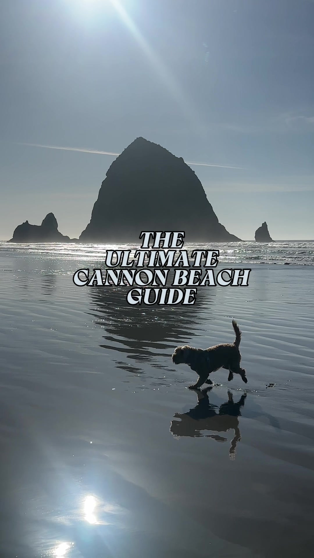 agirlinthepnw, Insomnia Coffee Co - Cannon Beach