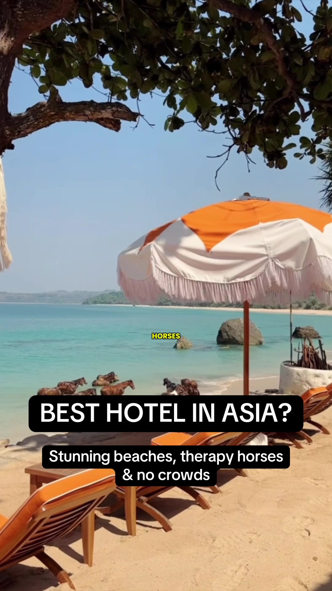 very.suite, NIHI Sumba