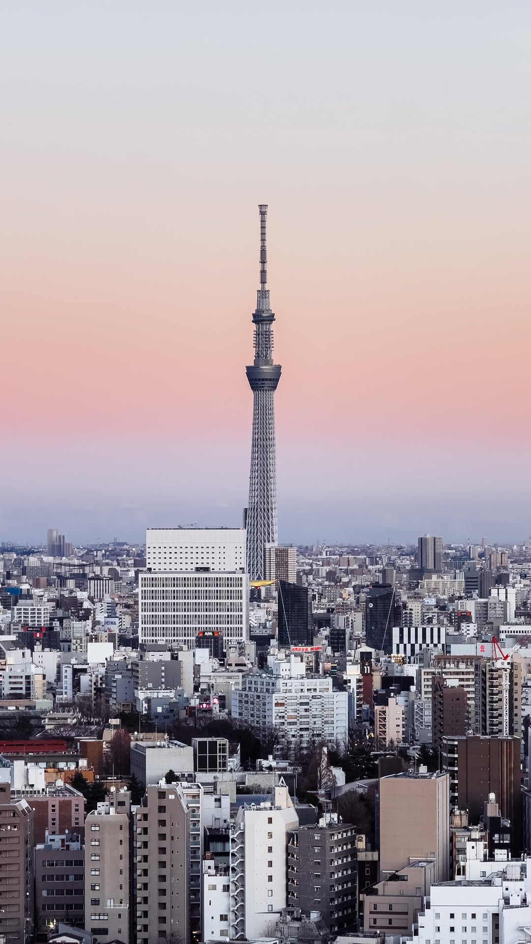 Bruno Maltor, Tokyo Metropolitan Government Building