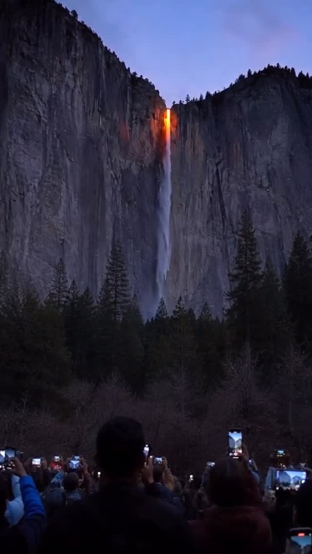 Deep Nature Lab, Yosemite National Park