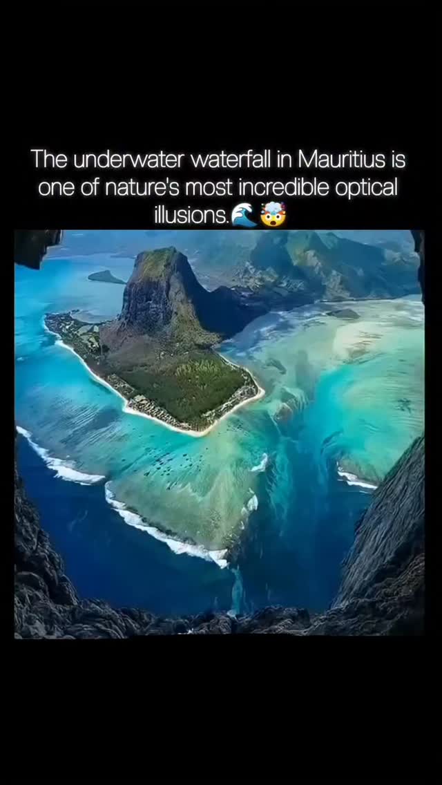 Global Feeds, Mauritius