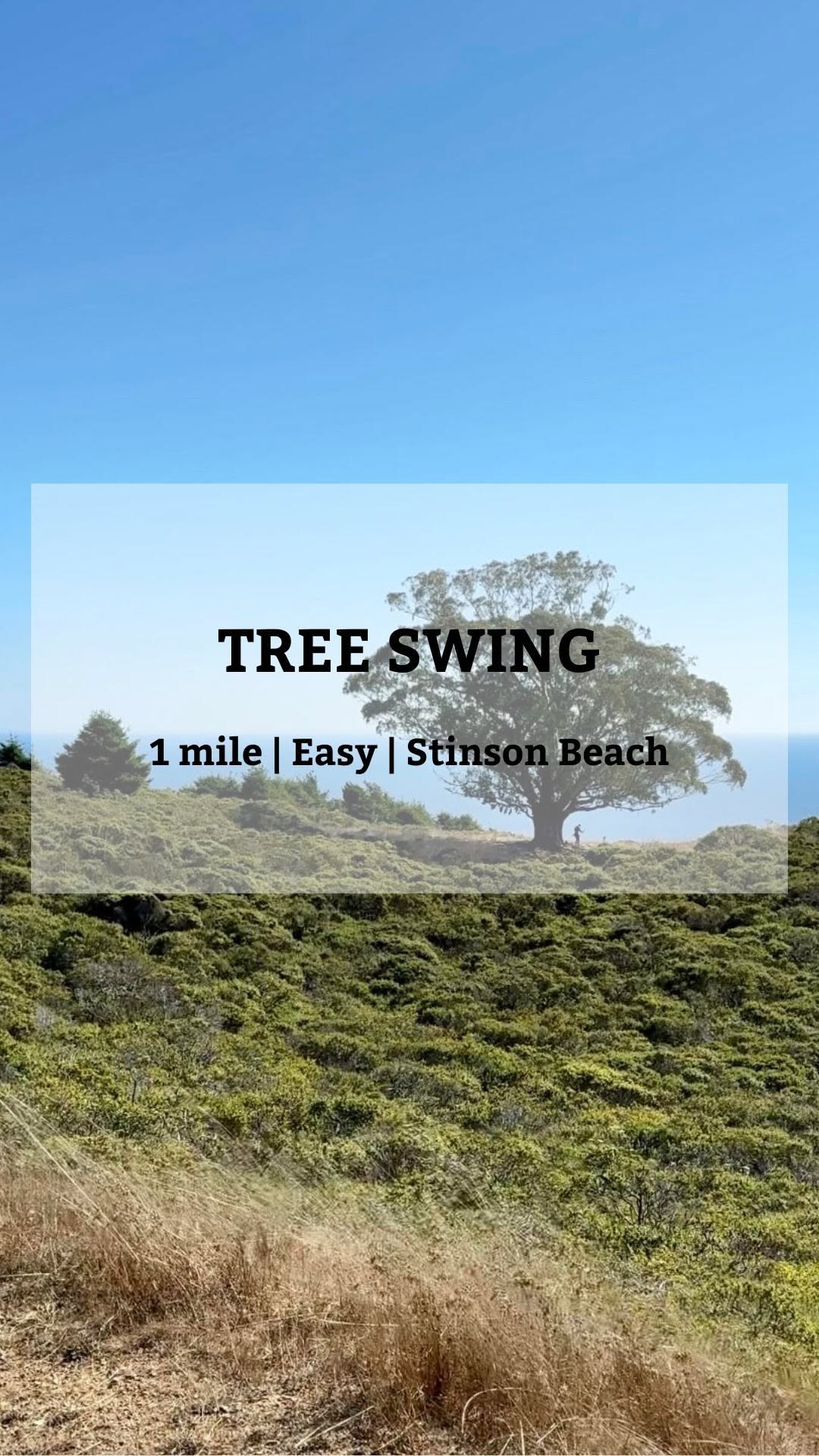 Dan Bernstein: Travel Guides | Hiking | California, Stinson Beach