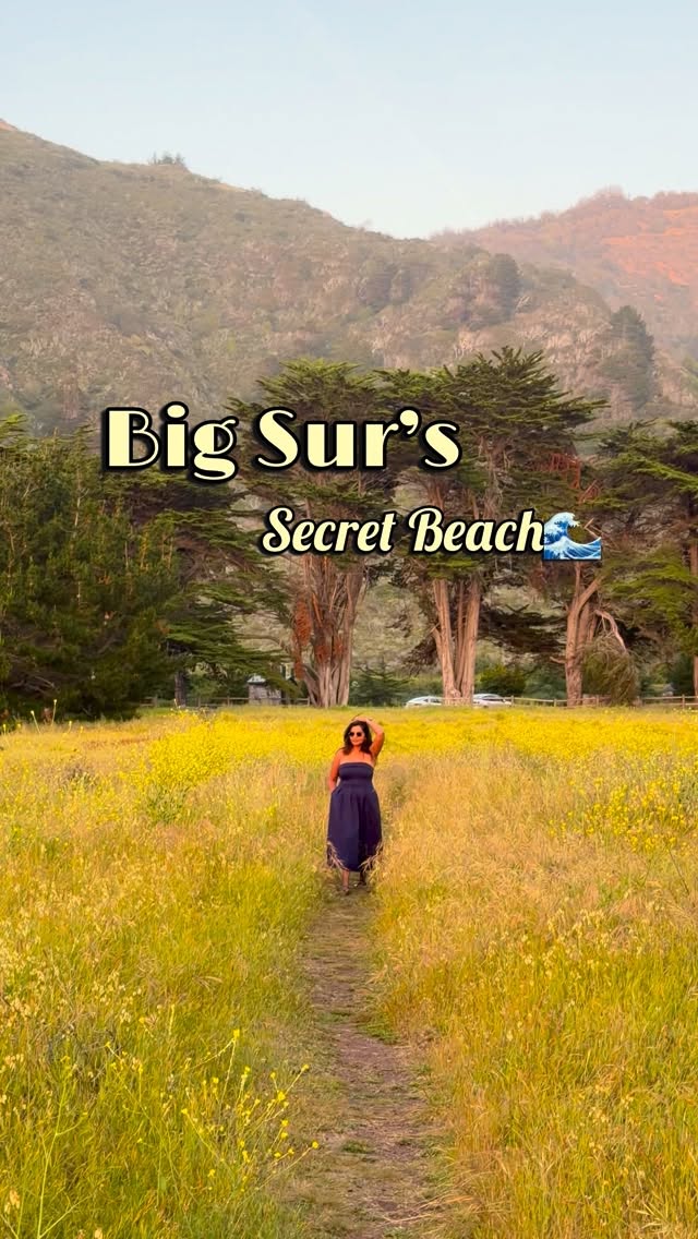 Priyanka Jaiswal | Travel & Lifestyle, Sand Dollar Beach