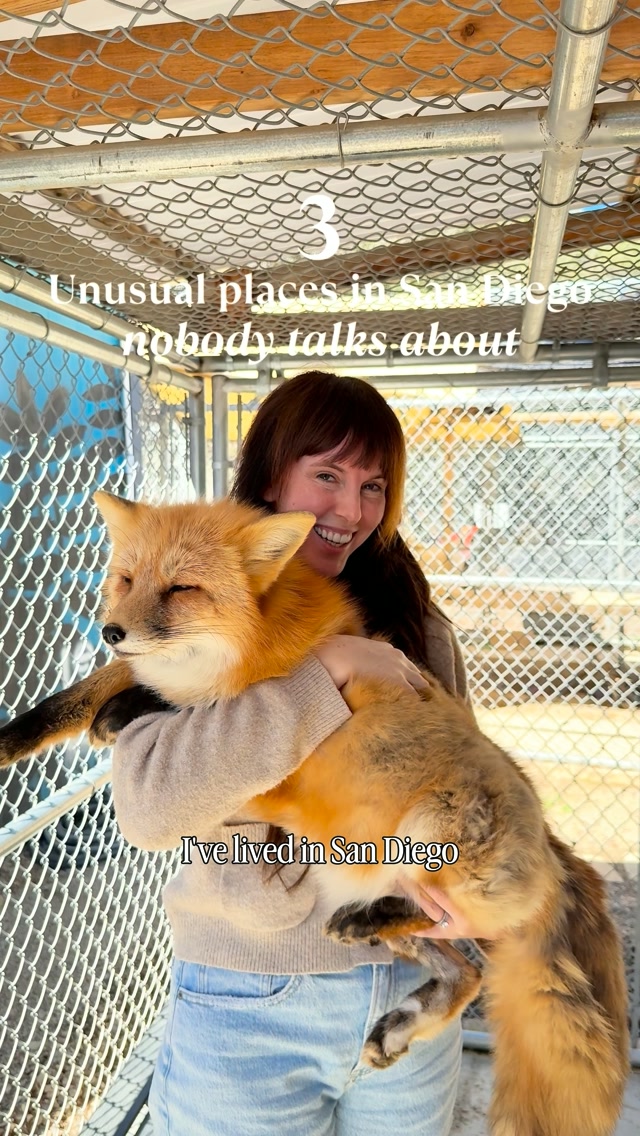 Natalia Hasenkampf | San Diego + Travel, Judith A Bassett Canid Education & Conservation Center