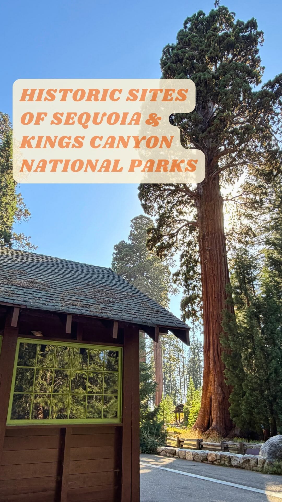 Etan Does LA, Sequoia National Park