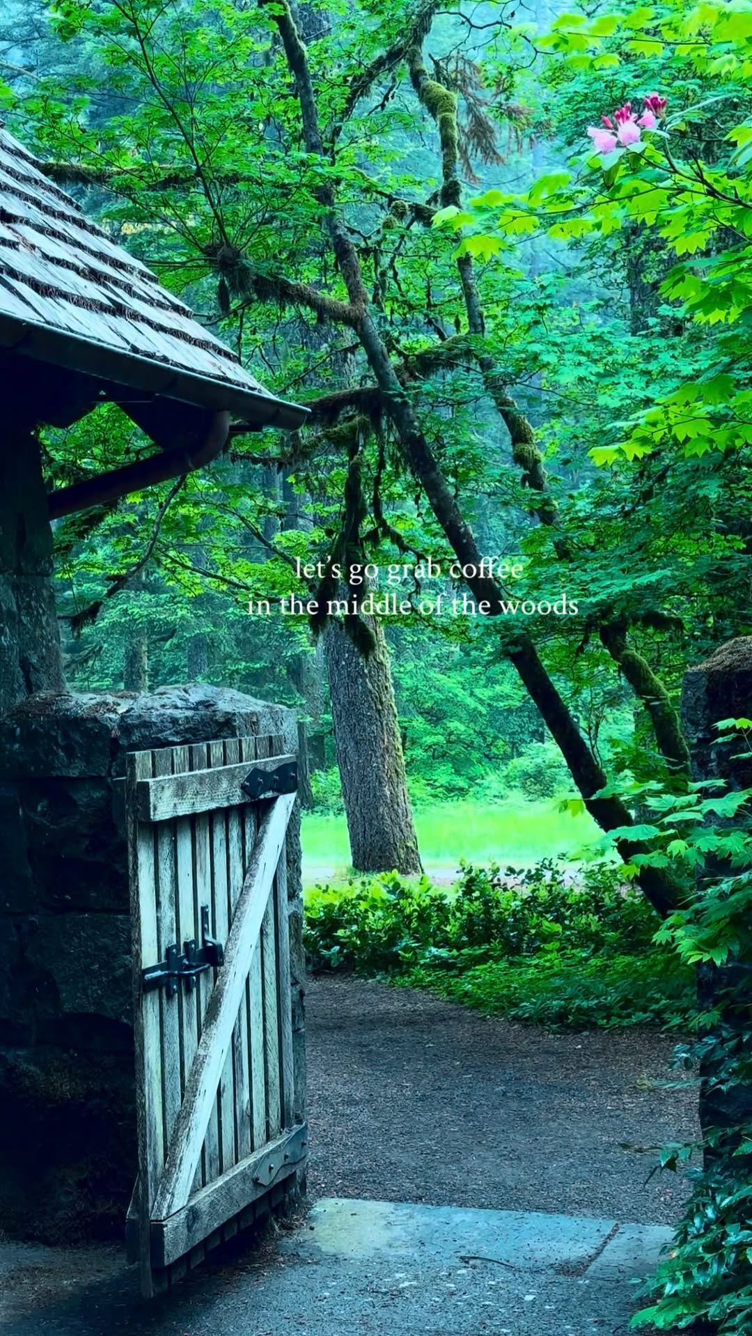 Karmen Cook | Hikes & Adventure Travel, Silver Falls State Park