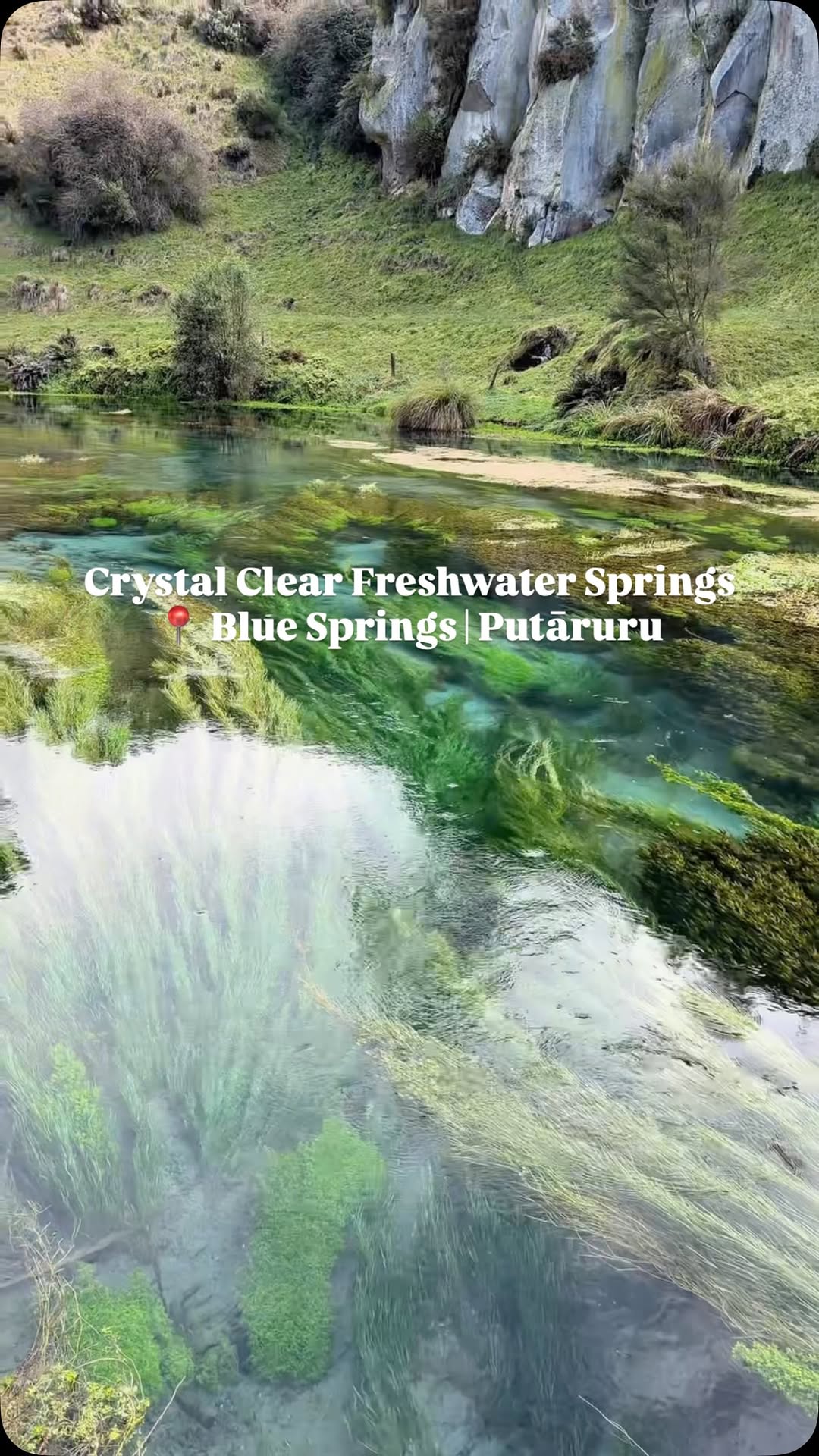 Amie Mac, Blue Spring (Te Waihou Walkway). Leslie Road entrance is closed.