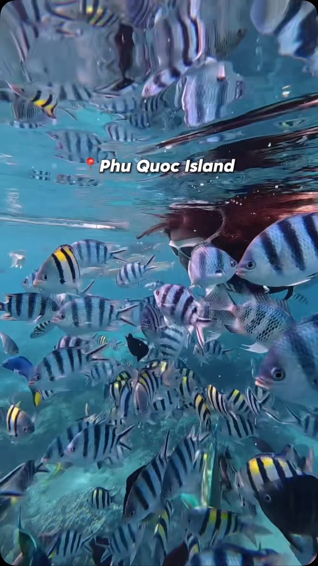 Visit Phu Quoc | By Meetup Travel, Phú Quốc International Airport