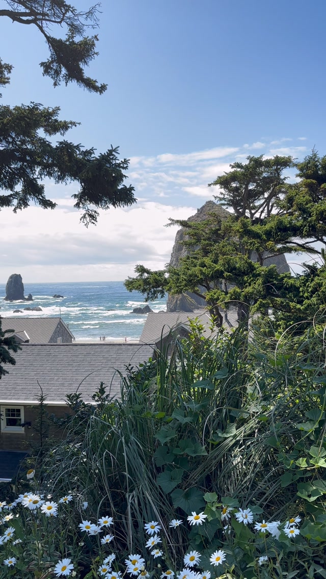 Soph, Ecola State Park