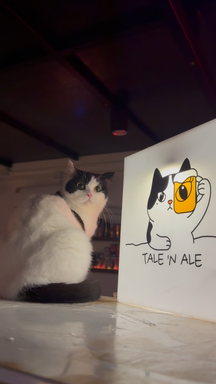 Tale’n Ale - Hidden Bar & Cafe, ICONSIAM