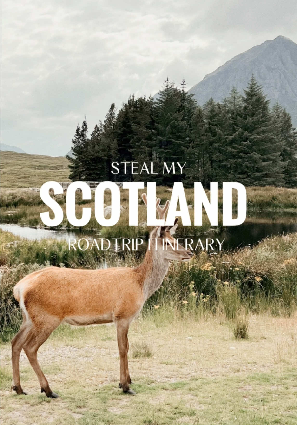 Caroline, Glencoe