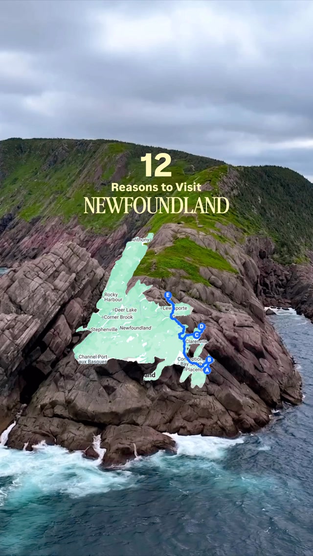 Anissa | PTO Friendly Travel | 📍Arizona, Cape Spear
