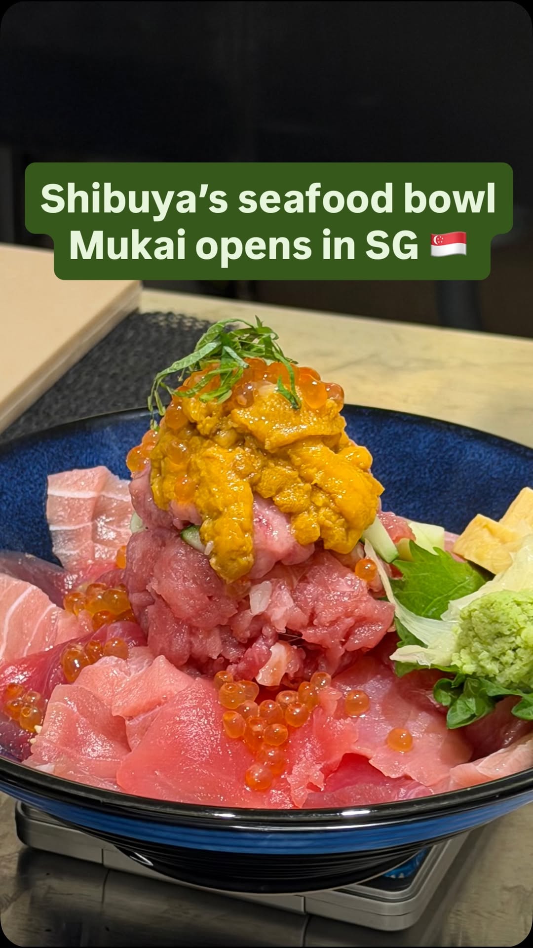 Amelia Explores | Matcha & Food in SG, Plaza Singapura