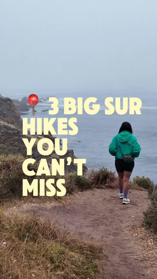 Nel | California Family Travel, Julia Pfeiffer Burns State Park