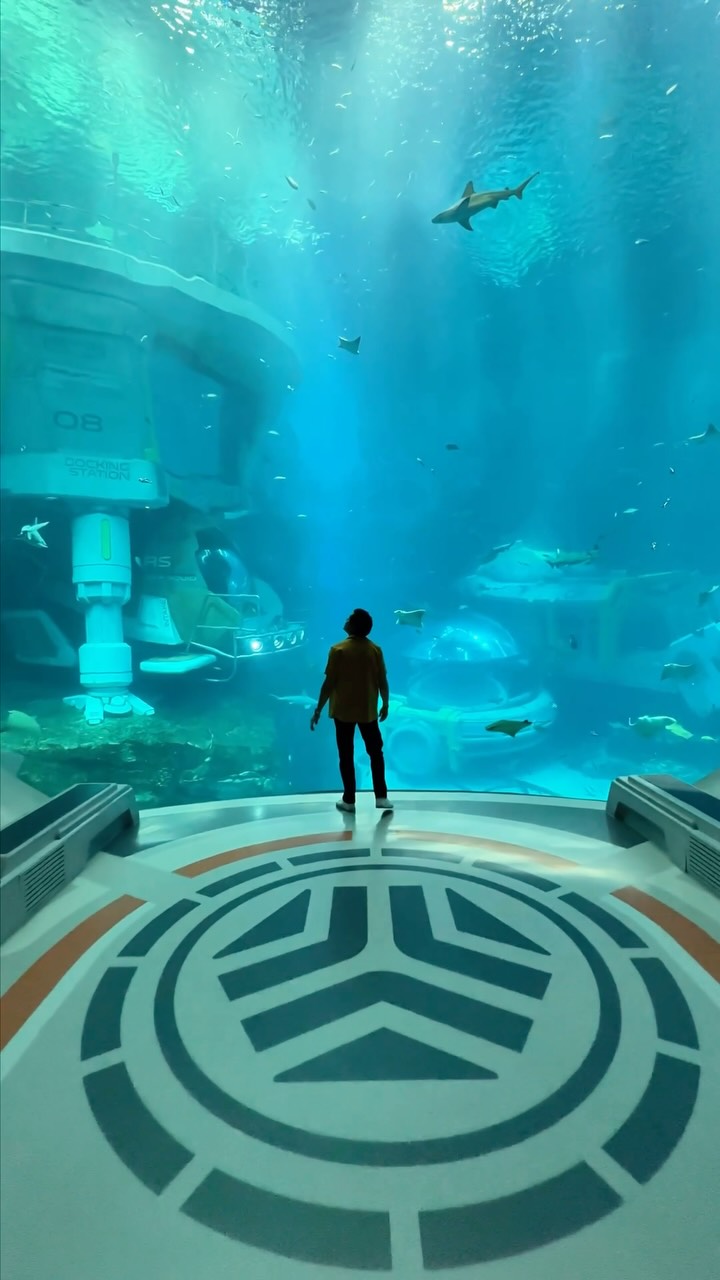 Khail | Hidden Gems & Wild Experiences 👀, Chimelong Ocean Kingdom