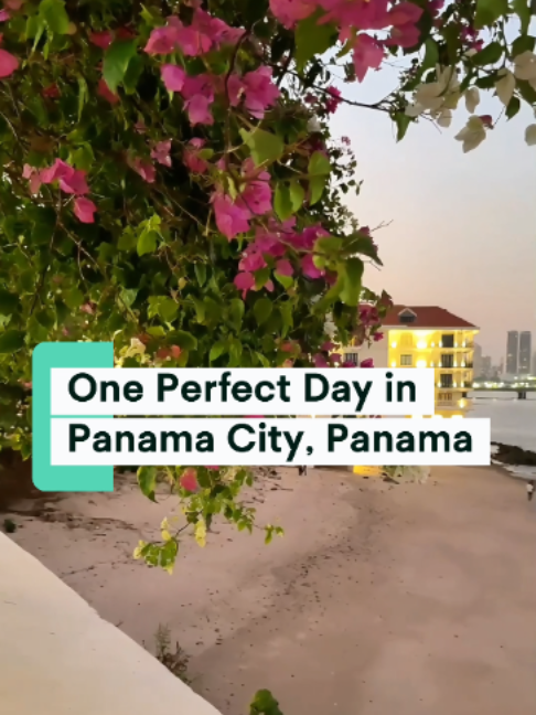 Panama Vibes, Mahalo Cocina y Jardin
