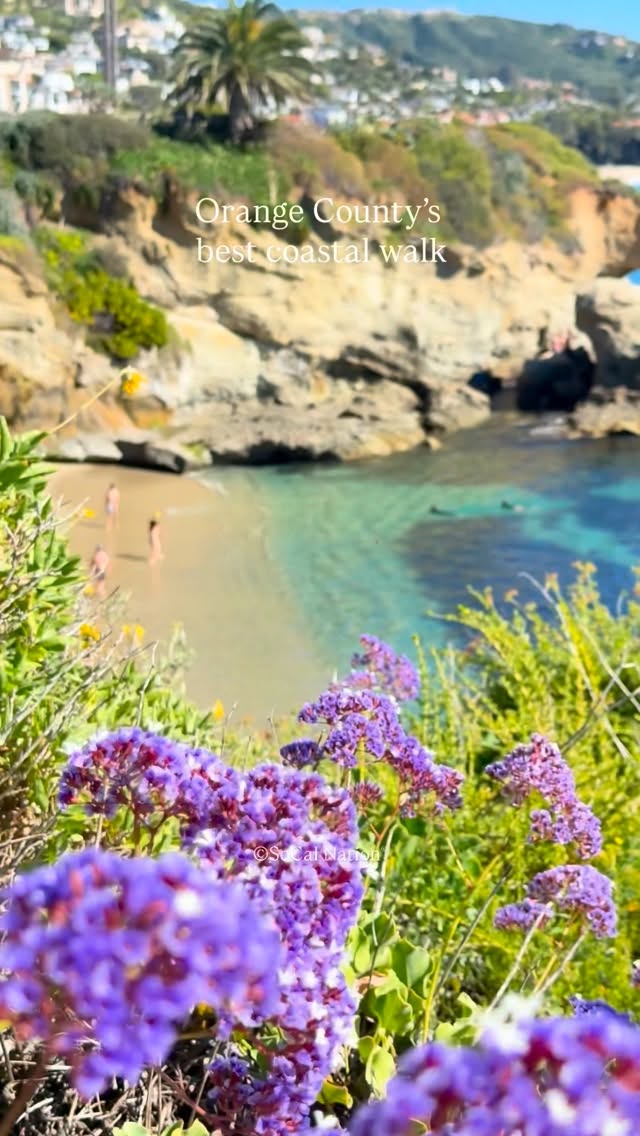 SoCal Nation®, Montage Laguna Beach