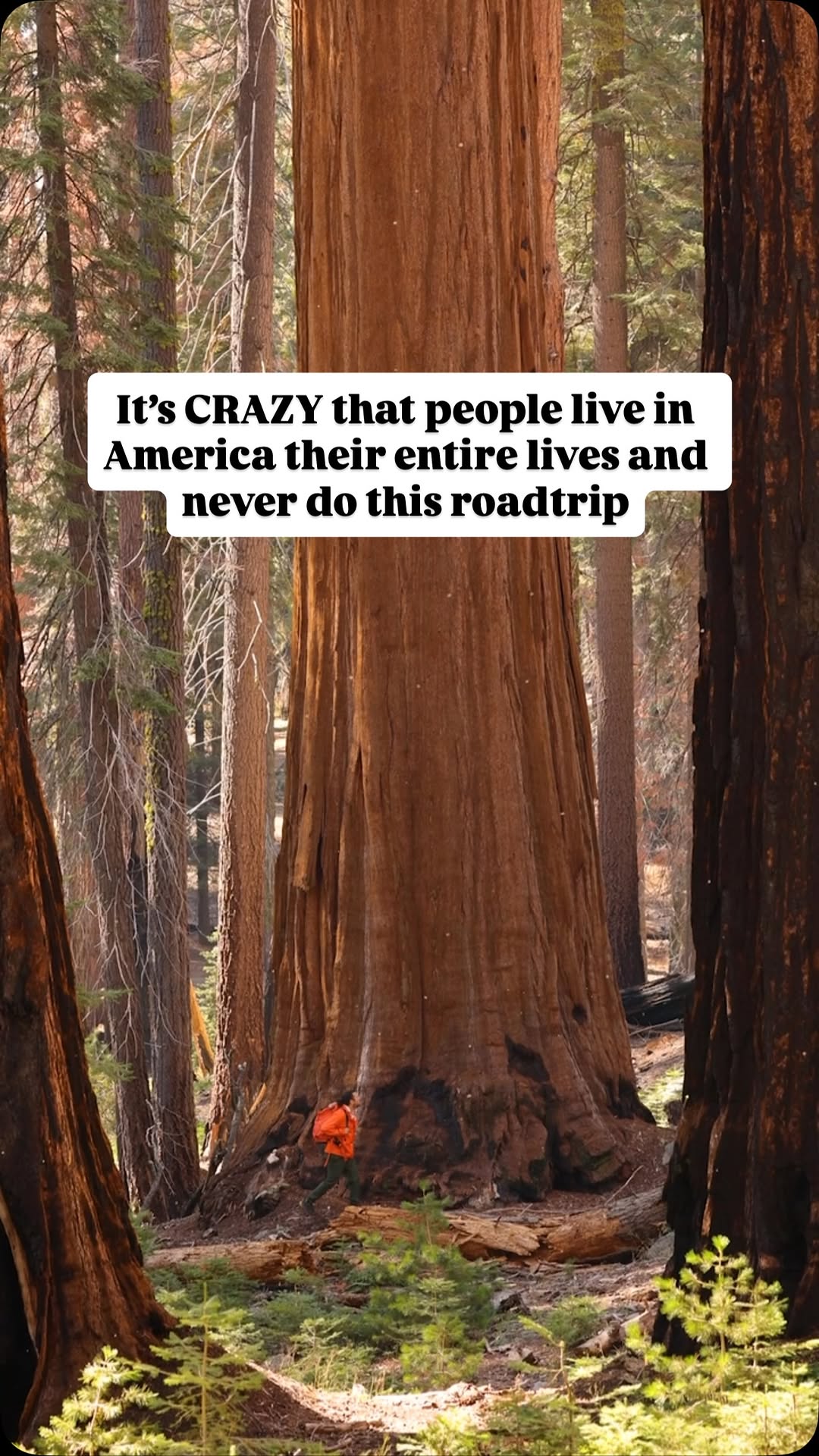 Lucas & Kelsey Smissen | Adventure Travel Couple & Family, Yosemite National Park