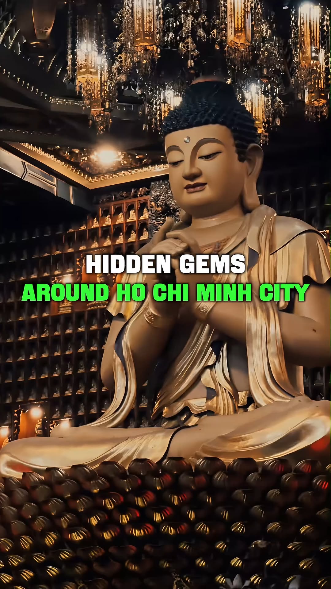 VNI Travel, Museum of Traditional Vietnamese Medicine