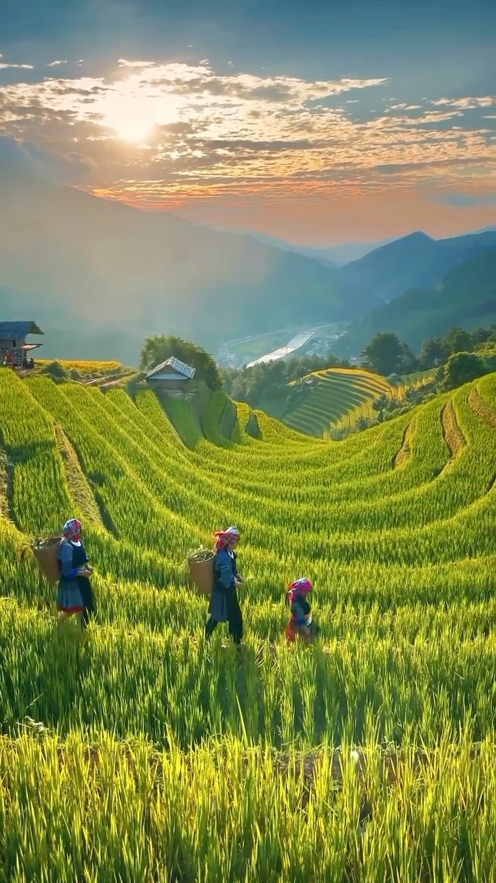 Vietnam Travel, Ho Chi Minh City