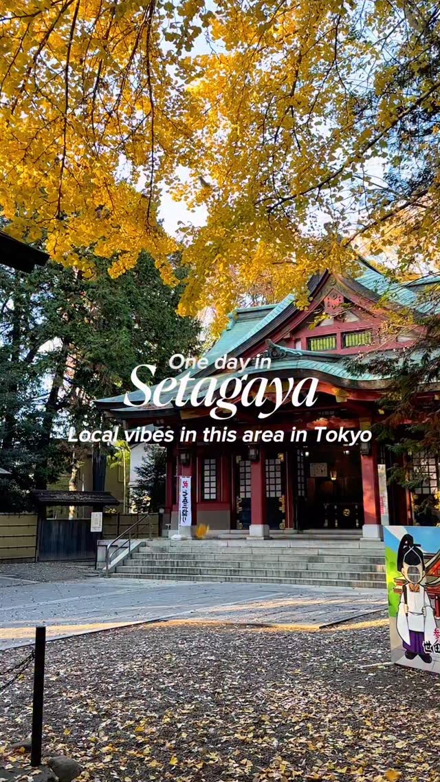 Visit Setagaya - Tokyo’s Hidden Charm, Kinuta Park
