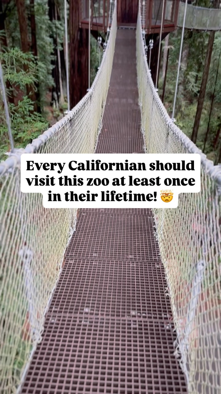 Robert Thurman, Redwoods National and State Parks-Crescent City Information Center