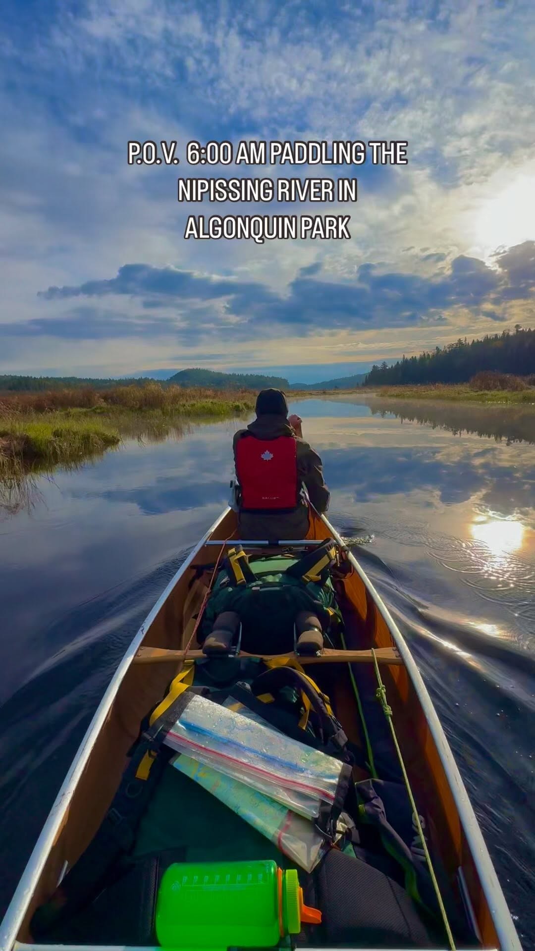 ❤️WILDERNESS, Algonquin Provincial Park