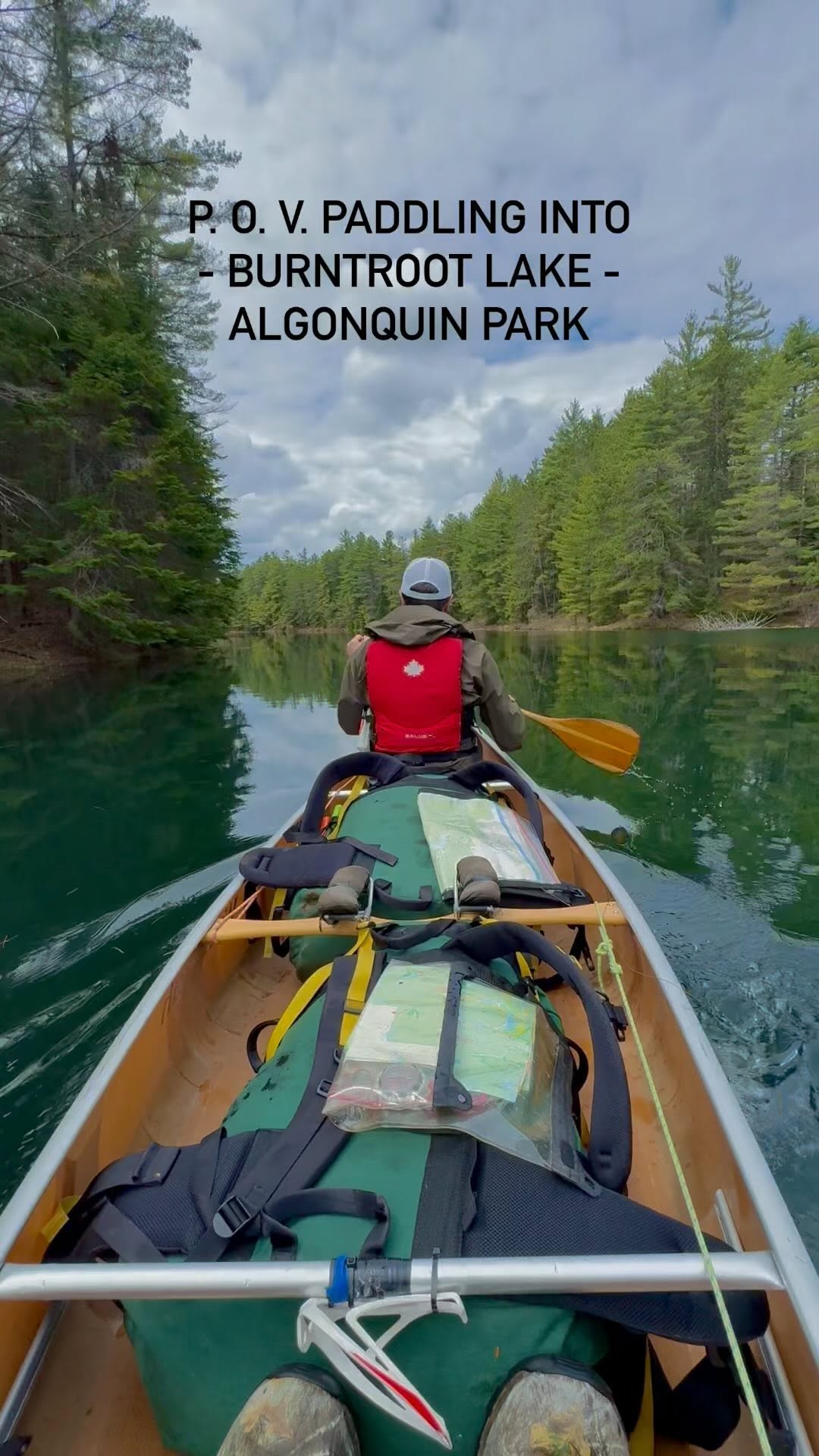 ❤️WILDERNESS, Algonquin Provincial Park