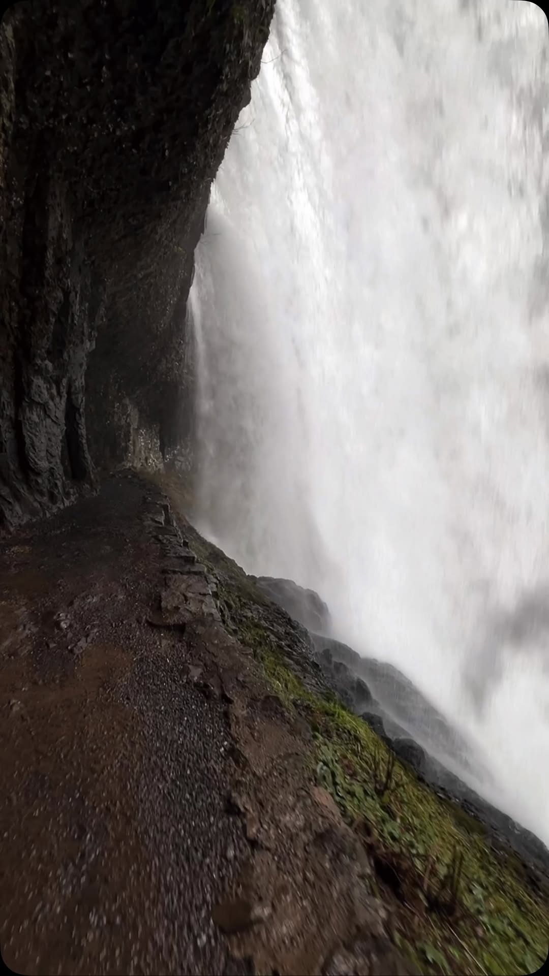 Oregons Best, Salt Creek Falls
