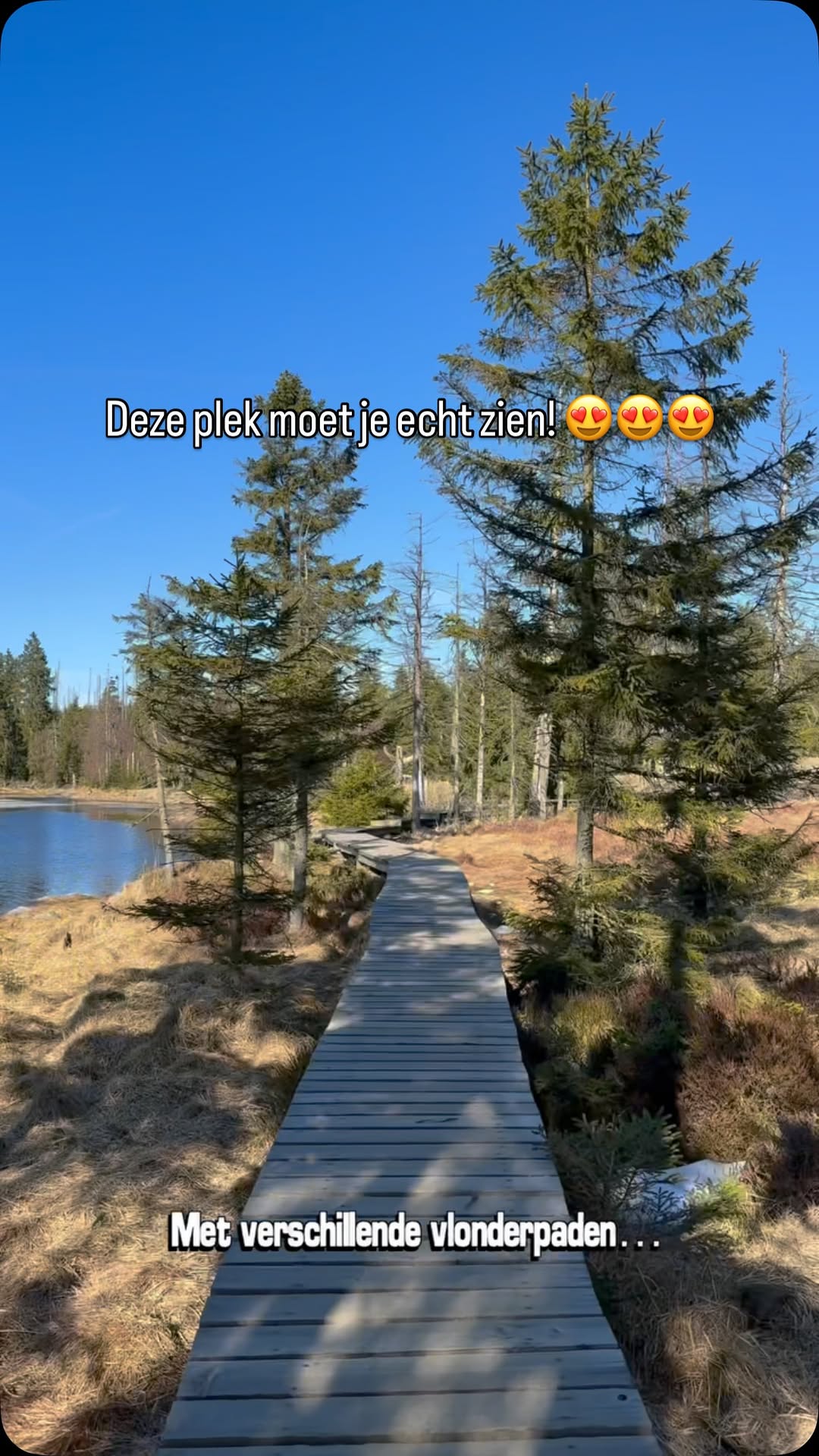 Marsha Brouwer | find your next adventure 🌎🌳, Oderteich