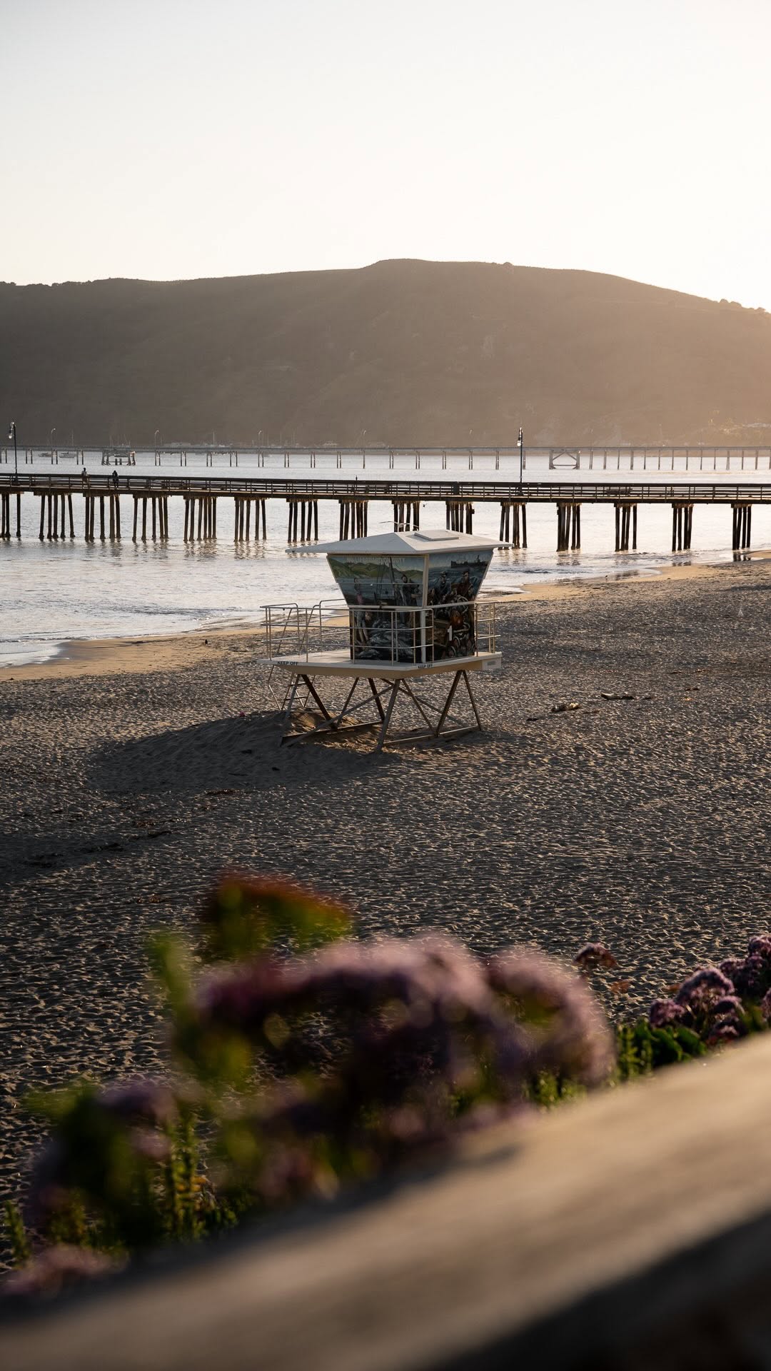 Kelsey & Alec | Western US Scenic Getaways, Edna Valley, California