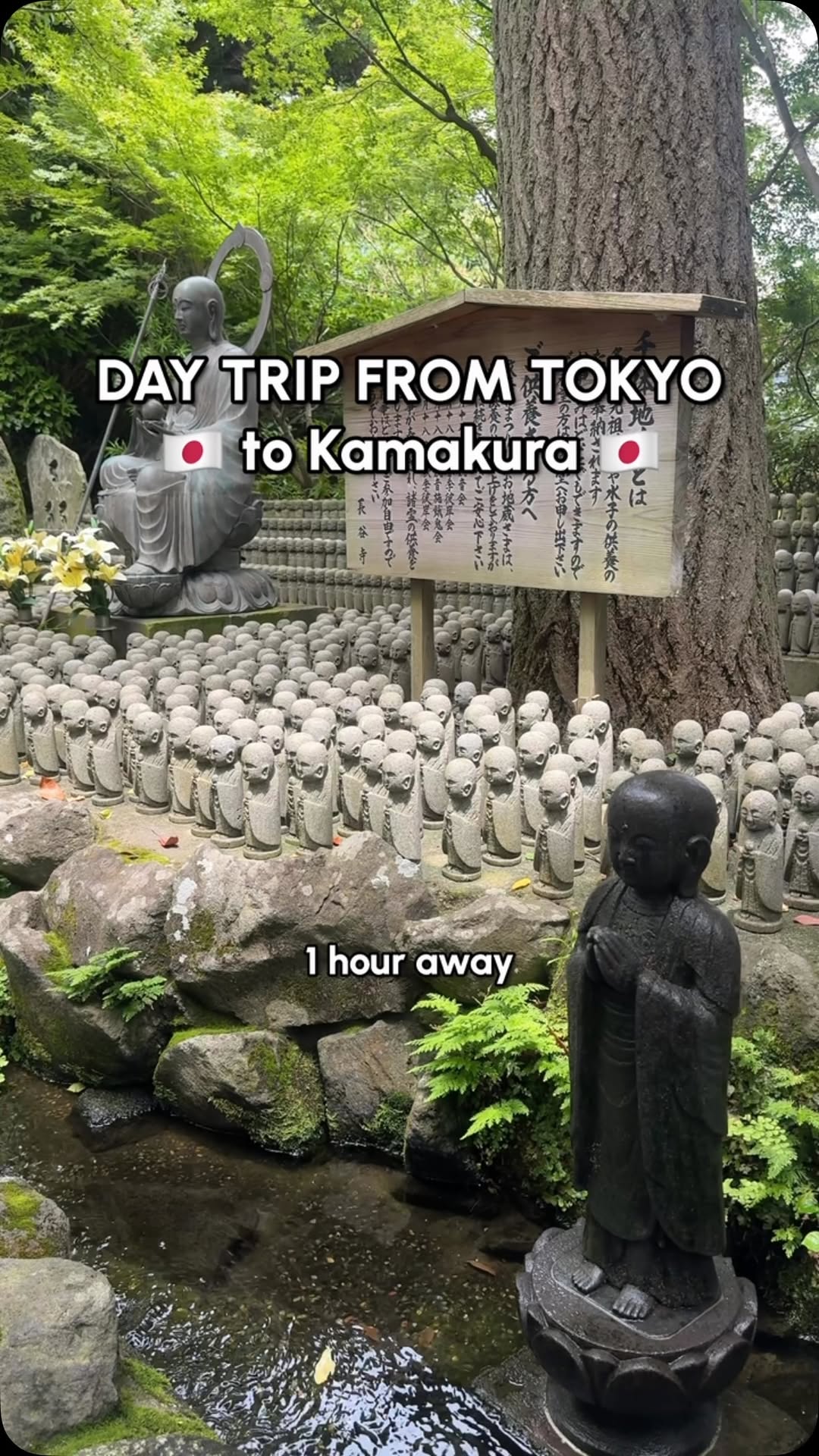 Tours in Japan - TOMOGO!, Kotoku-in
