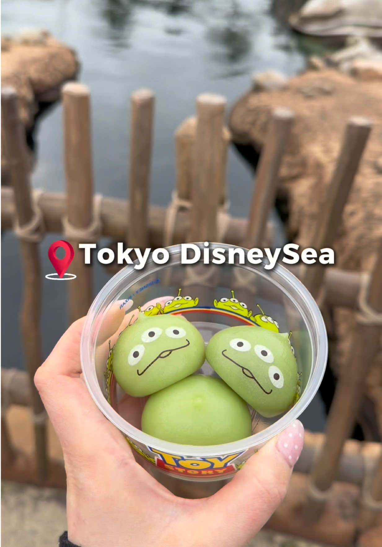 laurel, Tokyo DisneySea