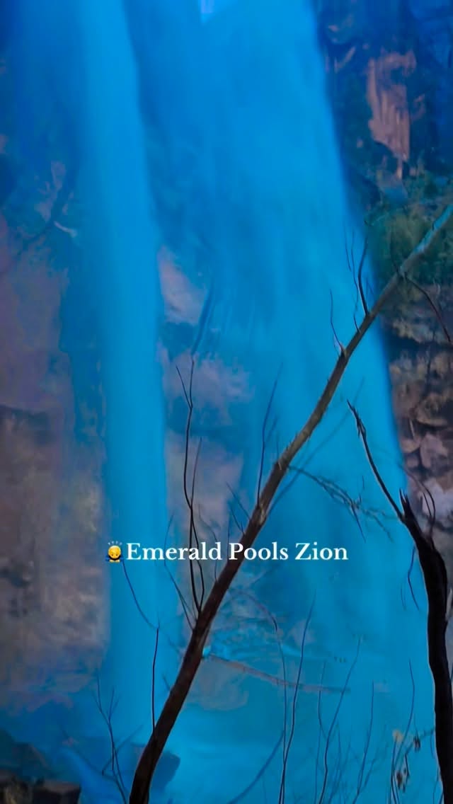 Zion Concierge, Emerald Pools Trail